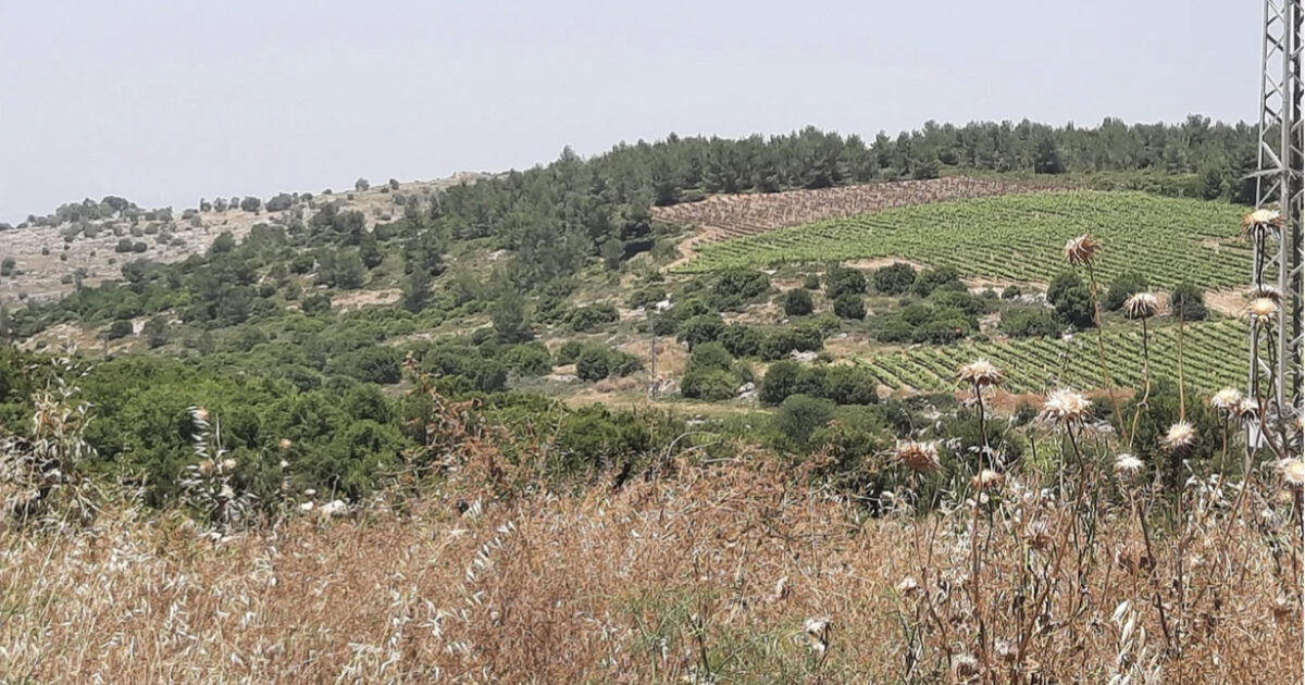 HaTamar, Bar Gyora | Buy Property In Israel
